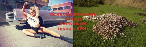 скорость Новодвинск