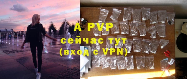 ECSTASY Новозыбков