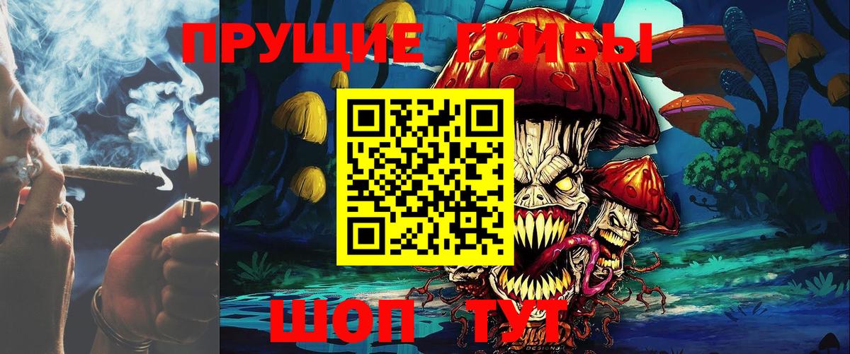 Псилоцибиновые грибы Cubensis  закладки  Надым  Вход с VPN 