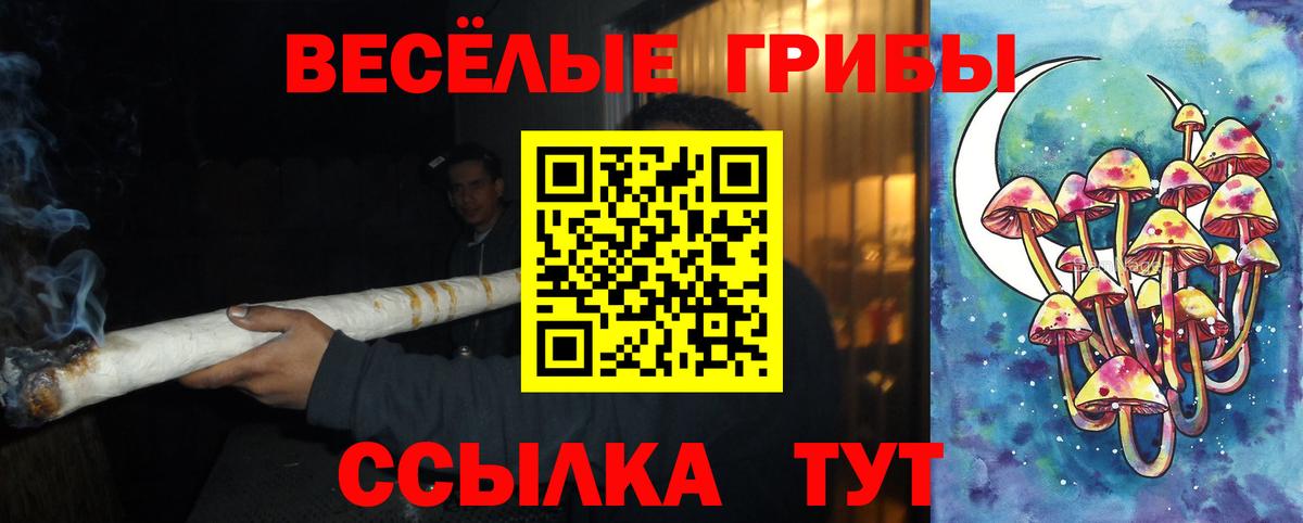 Галлюциногенные грибы мицелий Надым