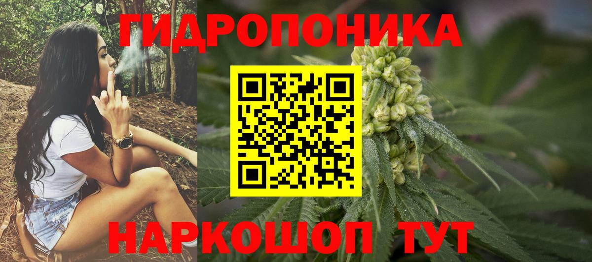 Бошки Шишки сатива Надым